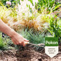 Pokon Siergrassen & Bamboe Mest Sfeer